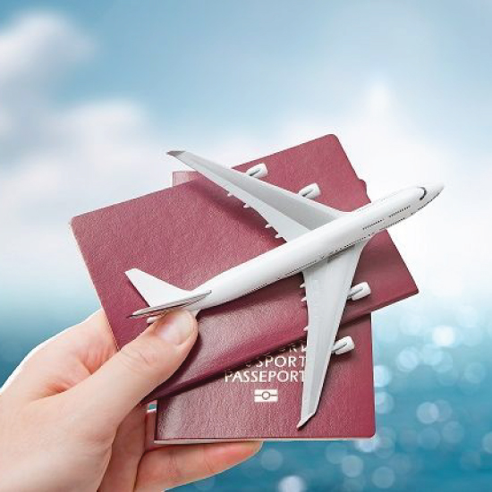 Visa Consultancy